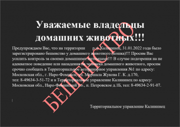 Бешенство в г.п. Калининец! Предупреждение владельцам домашних животных!
