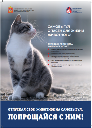 Самовыгул опасен для жизни животного!